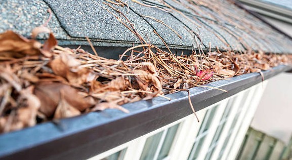 gutter cleaning in Tarneit