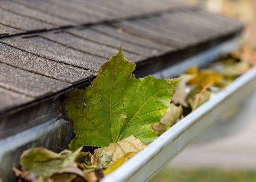 Gutter Cleaning